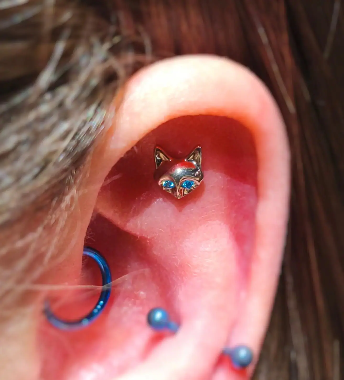 Composição de piercings na orelha com joias anodizadas